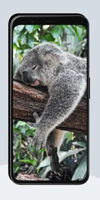 Funny Wallpapers OurcreativeApps android App screenshot 6